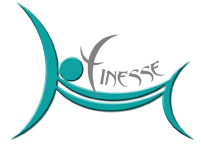 Chinese Silk Cushions